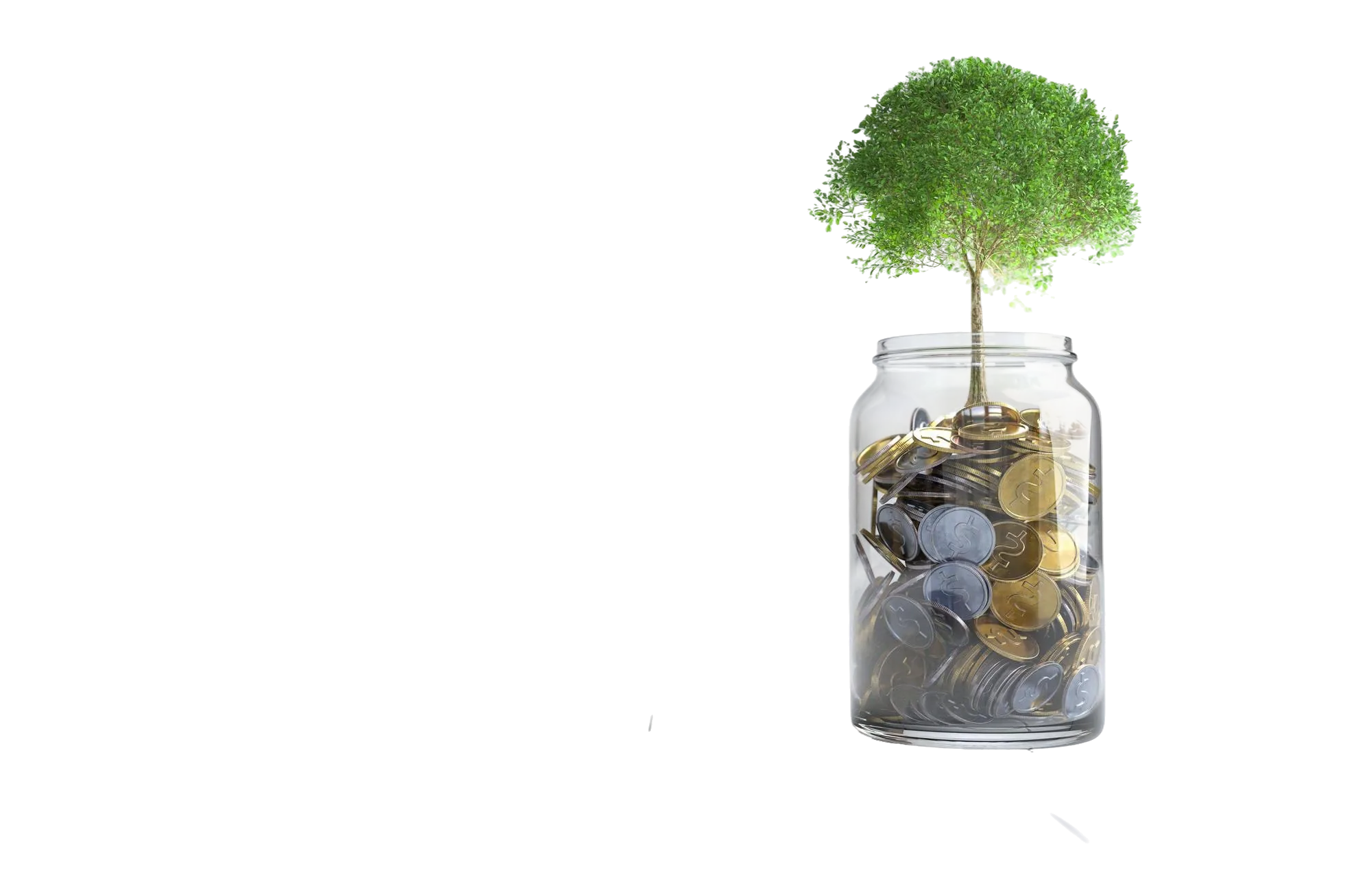Tree growing from savings